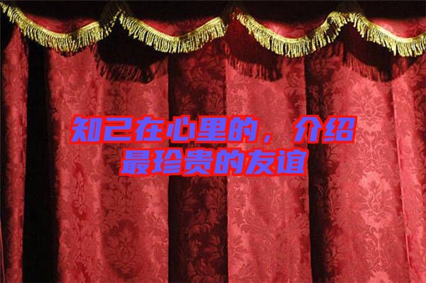 知己在心里的，介紹最珍貴的友誼