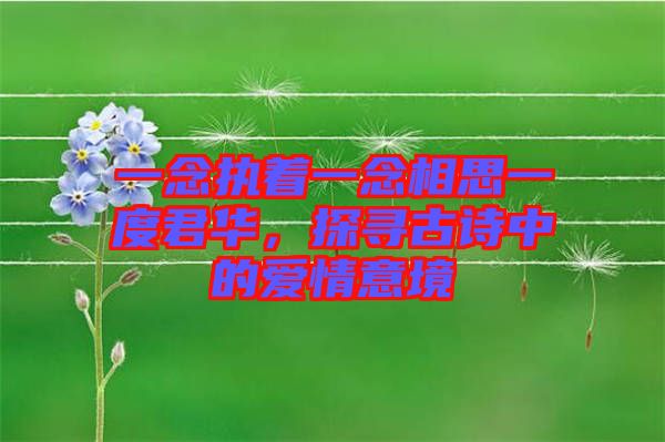 一念執(zhí)著一念相思一度君華，探尋古詩中的愛情意境