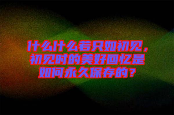 什么什么若只如初見，初見時的美好回憶是如何永久保存的？