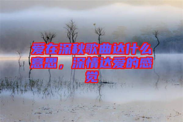 愛在深秋歌曲達什么意思，深情達愛的感覺
