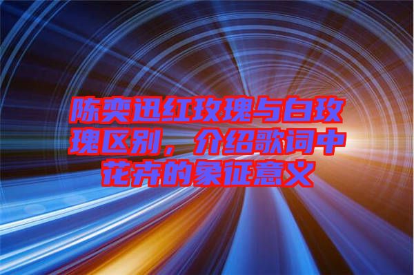 陳奕迅紅玫瑰與白玫瑰區(qū)別，介紹歌詞中花卉的象征意義