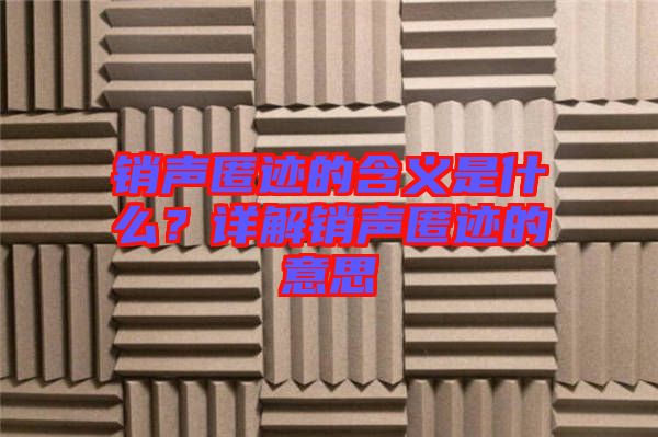 銷聲匿跡的含義是什么？詳解銷聲匿跡的意思