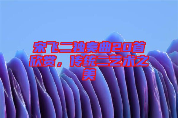 宋飛二獨奏曲20首欣賞，傳統(tǒng)二藝術(shù)之美