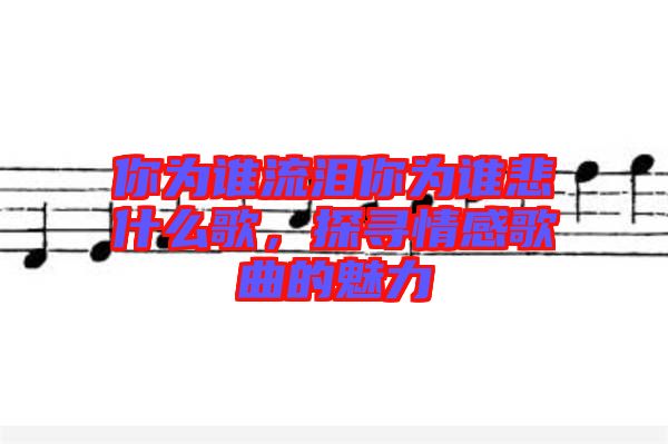 你為誰流淚你為誰悲什么歌，探尋情感歌曲的魅力