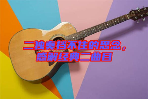 二獨(dú)奏擋不住的思念，感解經(jīng)典二曲目