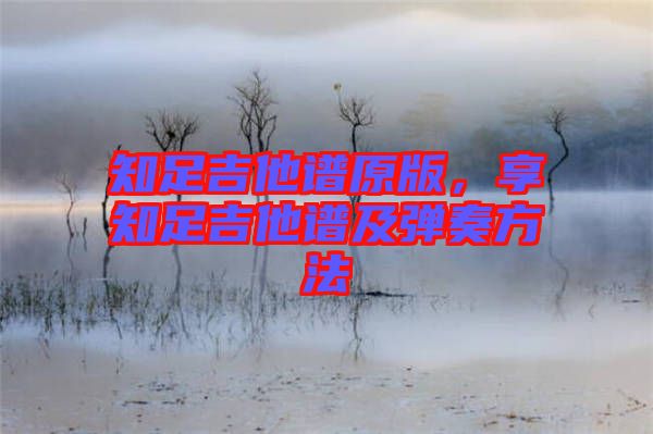 知足吉他譜原版，享知足吉他譜及彈奏方法
