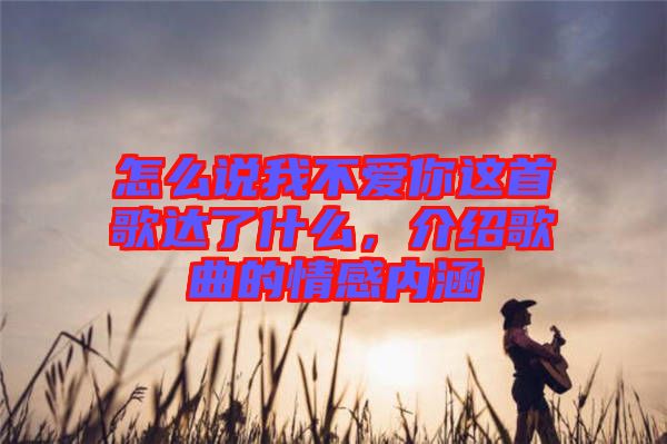 怎么說我不愛你這首歌達(dá)了什么，介紹歌曲的情感內(nèi)涵