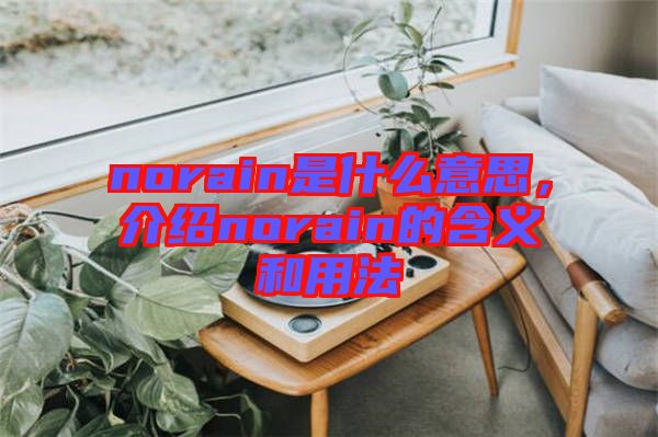 norain是什么意思，介紹norain的含義和用法