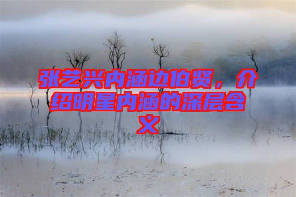 張藝興內(nèi)涵邊伯賢，介紹明星內(nèi)涵的深層含義