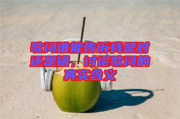 歌詞誰能告訴我是對還是錯，討論歌詞的真實含義