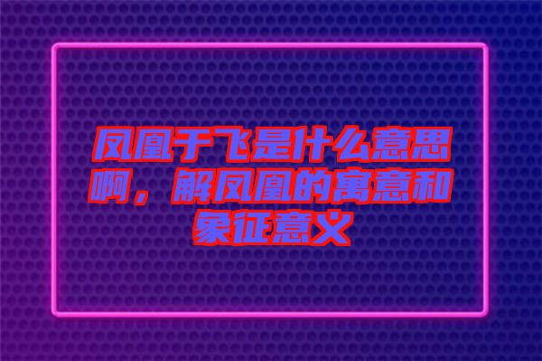 鳳凰于飛是什么意思啊，解鳳凰的寓意和象征意義