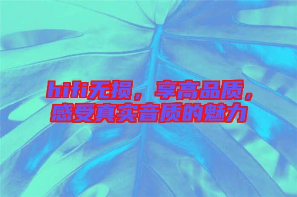 hifi無損，享高品質(zhì)，感受真實(shí)音質(zhì)的魅力