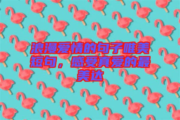 浪漫愛情的句子唯美短句，感受真愛的最美達