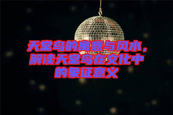 天堂鳥的寓意與風(fēng)水，解讀天堂鳥在文化中的象征意義