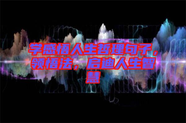 學(xué)感悟人生哲理句子，領(lǐng)悟法，啟迪人生智慧