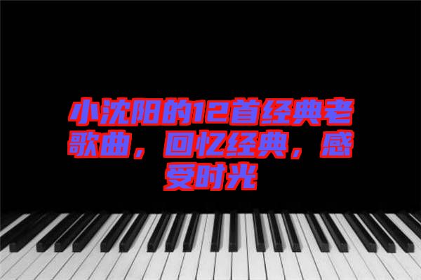 小沈陽的12首經(jīng)典老歌曲，回憶經(jīng)典，感受時(shí)光