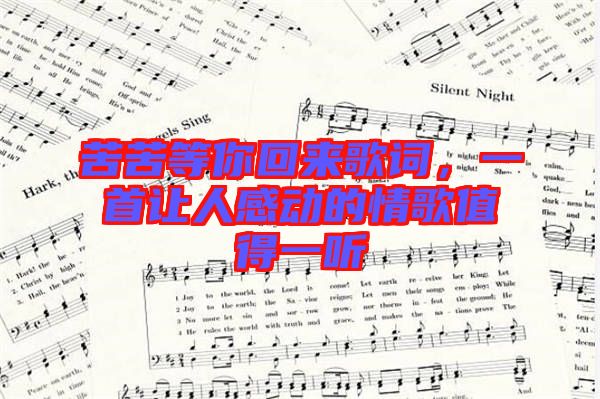苦苦等你回來歌詞，一首讓人感動的情歌值得一聽