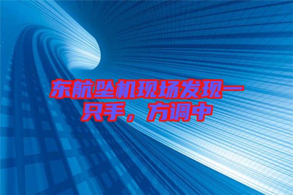 東航墜機(jī)現(xiàn)場發(fā)現(xiàn)一只手，方調(diào)中