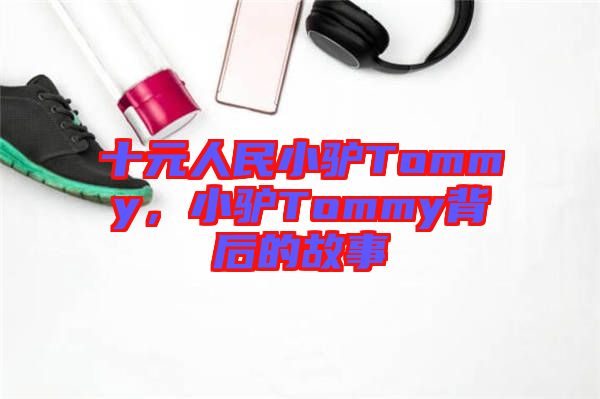十元人民小驢Tommy，小驢Tommy背后的故事