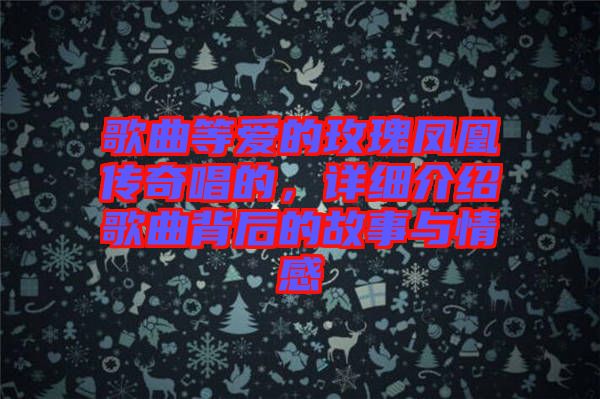 歌曲等愛的玫瑰鳳凰傳奇唱的，詳細介紹歌曲背后的故事與情感