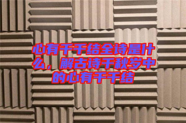 心有千千結(jié)全詩是什么，解古詩千秋歲中的心有千千結(jié)