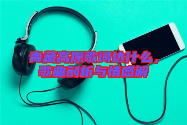 青藏高原歌詞達(dá)什么，歌曲剖析與情感解