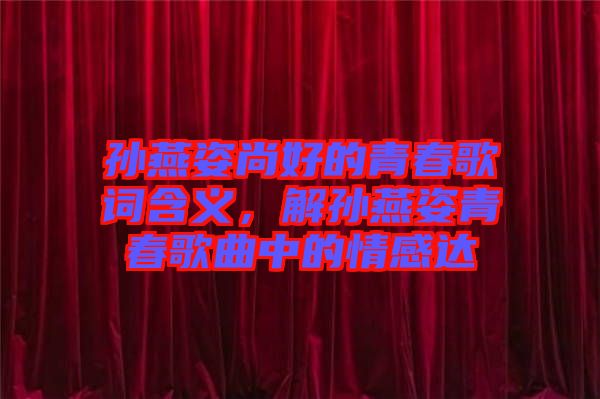 孫燕姿尚好的青春歌詞含義，解孫燕姿青春歌曲中的情感達(dá)