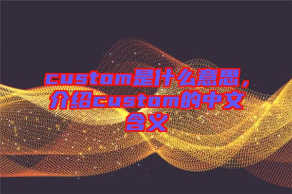 custom是什么意思，介紹custom的中文含義