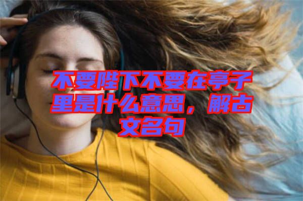 不要陛下不要在亭子里是什么意思，解古文名句