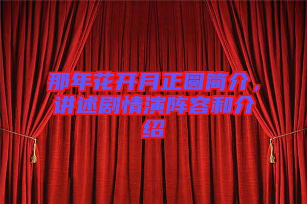 那年花開月正圓簡介，講述劇情演陣容和介紹