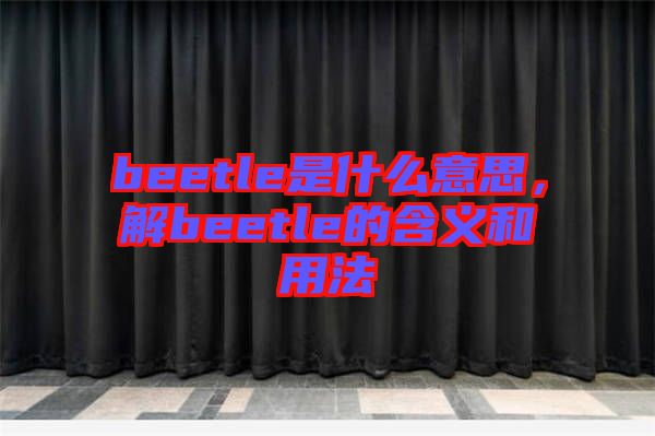 beetle是什么意思，解beetle的含義和用法
