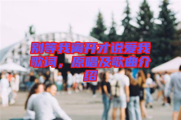 別等我離開(kāi)才說(shuō)愛(ài)我歌詞，原唱及歌曲介紹
