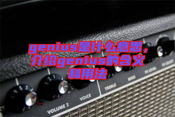genius是什么意思，介紹genius的含義和用法