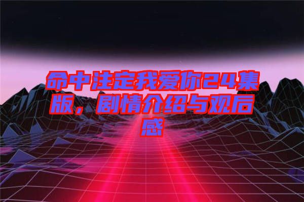 命中注定我愛你24集版，劇情介紹與觀后感