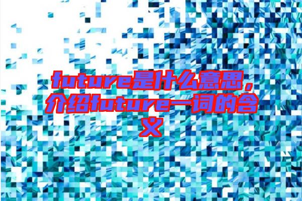 future是什么意思，介紹future一詞的含義