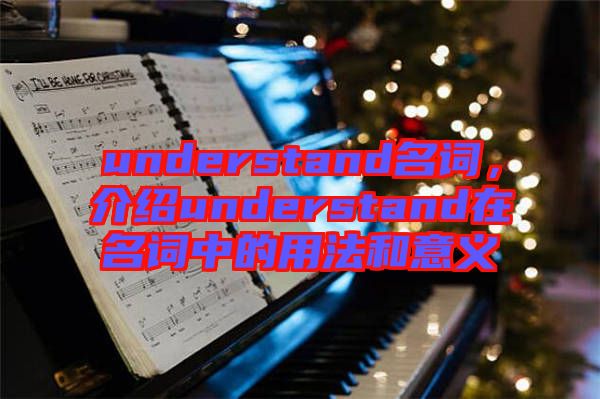 understand名詞，介紹understand在名詞中的用法和意義