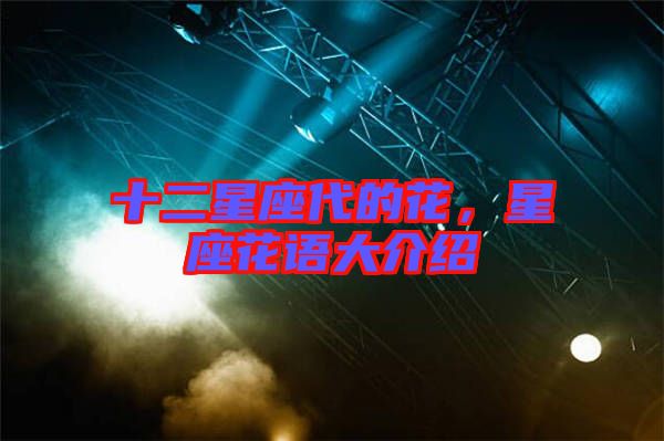 十二星座代的花，星座花語大介紹
