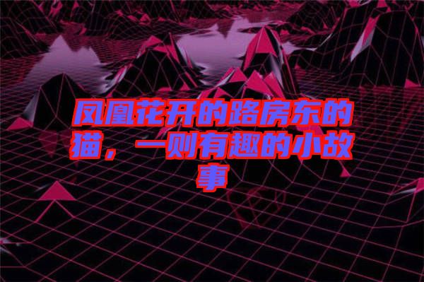 鳳凰花開的路房東的貓，一則有趣的小故事