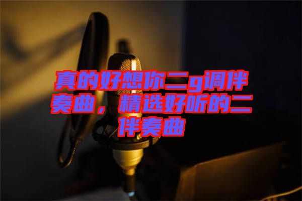 真的好想你二g調(diào)伴奏曲，精選好聽(tīng)的二伴奏曲
