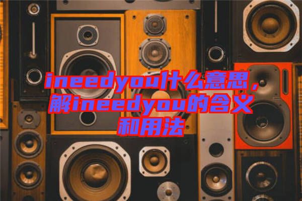 ineedyou什么意思，解ineedyou的含義和用法