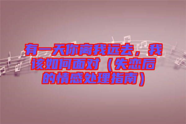 有一天你離我遠(yuǎn)去，我該如何面對(duì)（失戀后的情感處理指南）