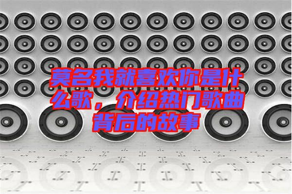 莫名我就喜歡你是什么歌，介紹熱門歌曲背后的故事