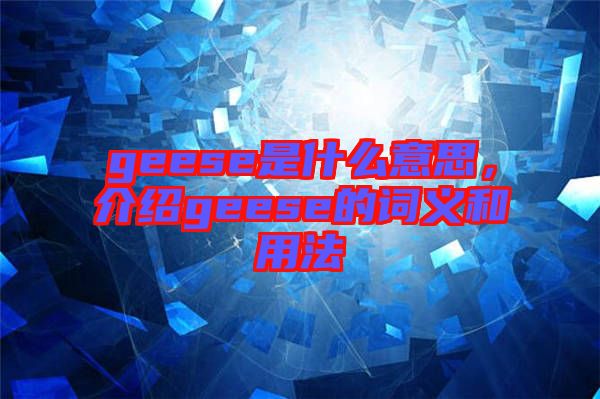 geese是什么意思，介紹geese的詞義和用法