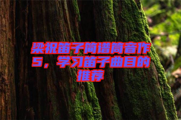 梁祝笛子簡譜筒音作5，學習笛子曲目的推薦