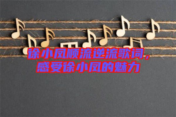 徐小鳳順流逆流歌詞，感受徐小鳳的魅力