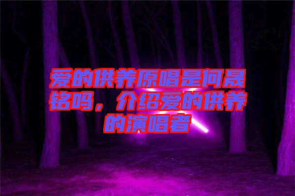 愛的供養(yǎng)原唱是何晟銘嗎，介紹愛的供養(yǎng)的演唱者