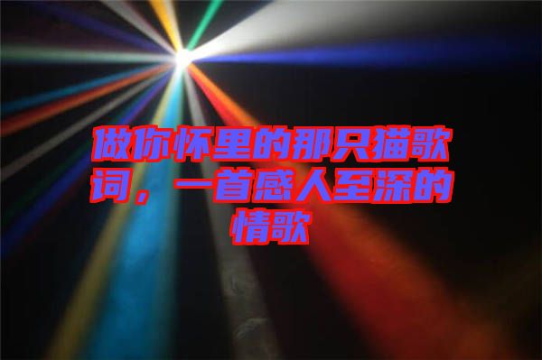 做你懷里的那只貓歌詞，一首感人至深的情歌