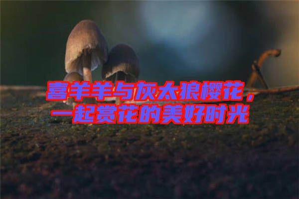喜羊羊與灰太狼櫻花，一起賞花的美好時(shí)光