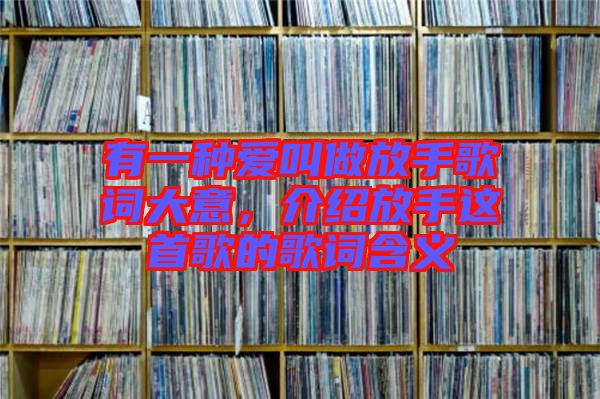 有一種愛叫做放手歌詞大意，介紹放手這首歌的歌詞含義