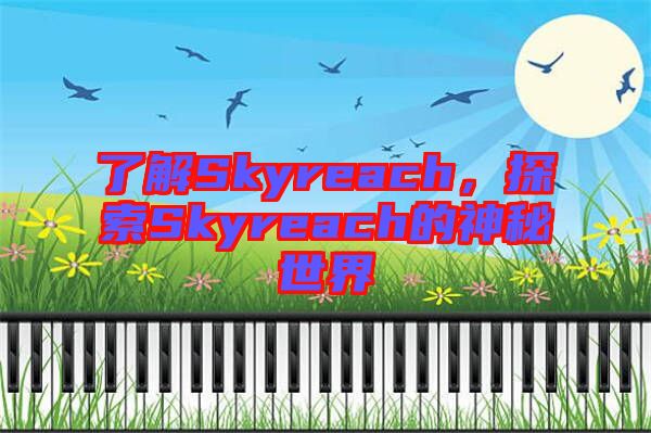 了解Skyreach，探索Skyreach的神秘世界